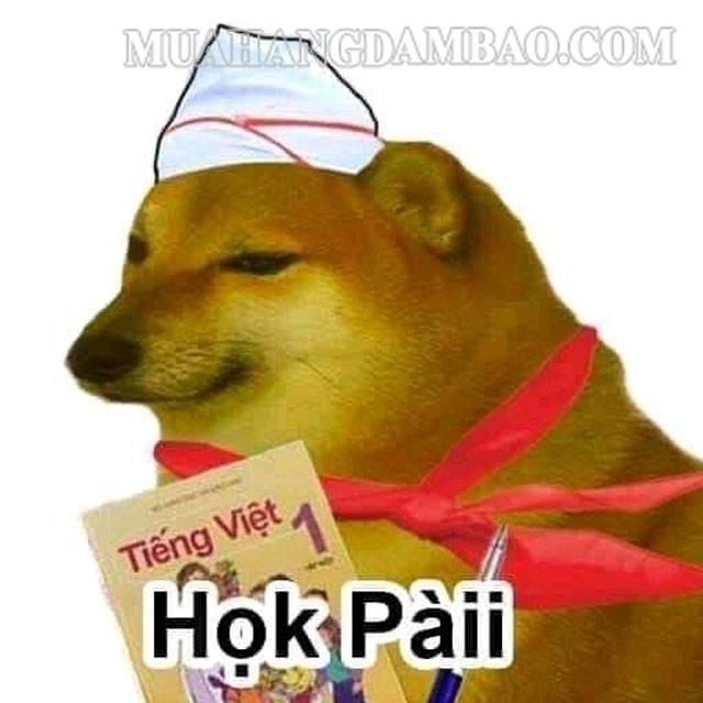 Cảnh sát chính tả meme cheems