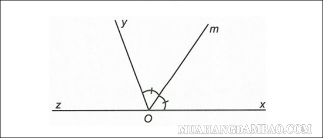 xOy = 120°