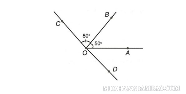 góc AOB = 50°, góc BOC = 80°