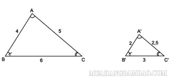 Thế nào là 2 tam giác đồng dạng?