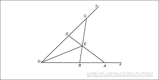 Cho góc xOy. Lấy các điểm A, B thuộc tia Ox sao cho OA > OB