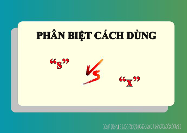 Cách dùng âm “s” và “x”