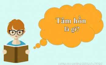 Tâm hồn - bản chất hợp nhất của một sinh vật