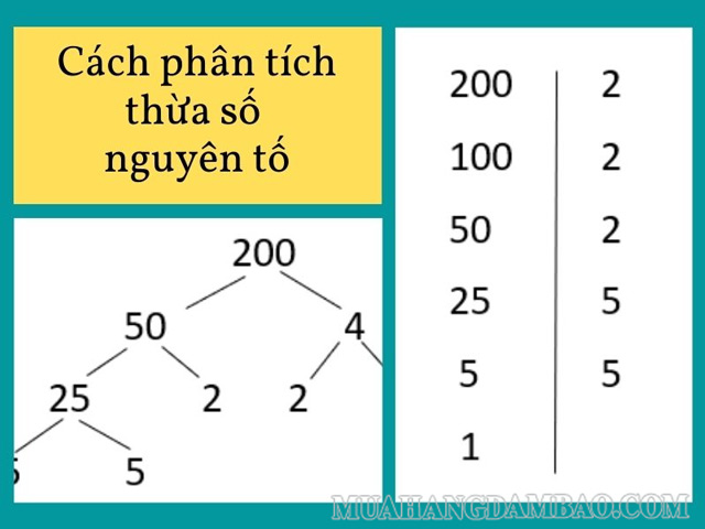 Cách phân tích số 200 theo hàng dọc