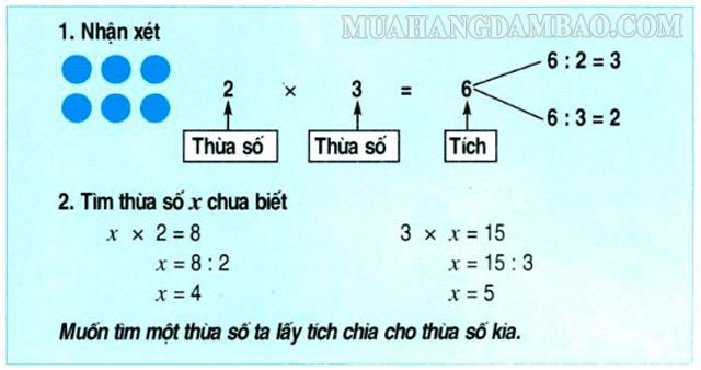 Phân tích một thừa số theo hàng ngang