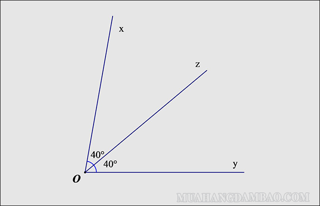 Oz chính là tia phân giác của góc xOy
