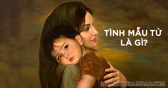 Tình mẫu tử là tình cảm thiêng liêng, đáng trân quý nhất cuộc đời