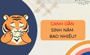 Canh Dần sinh năm mấy là thắc mắc của rất nhiều người