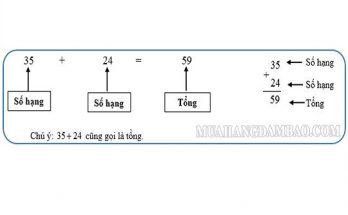 Ví dụ về số hạng