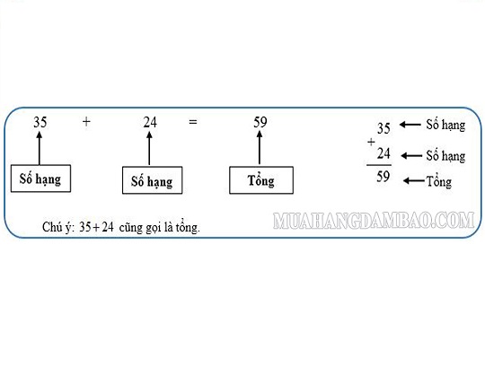 Ví dụ về số hạng