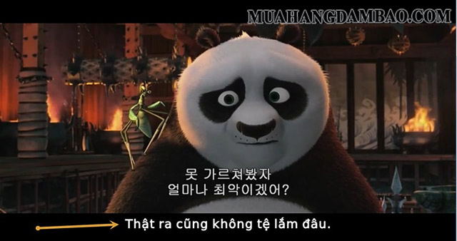 Bộ phim Kungfu Panda được vietsub sang tiếng Việt