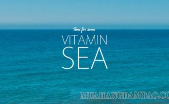 Vitamin sea là loại “vitamin” thần kỳ, được các bạn trẻ yêu thích