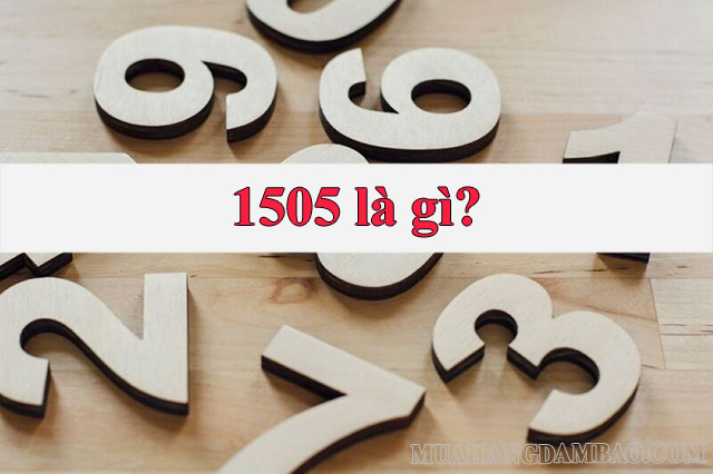 1505 là gì- mang nhiều ý nghĩa khác nhau