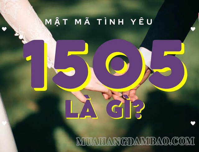 1505 có nghĩa là ngàn năm không bao giờ phai