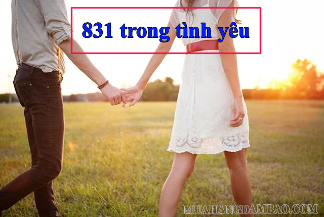 831 - mật mã tình yêu thú vị