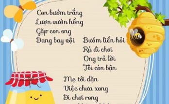 Bài thơ cho bé 2 tuổi: Ong và bướm