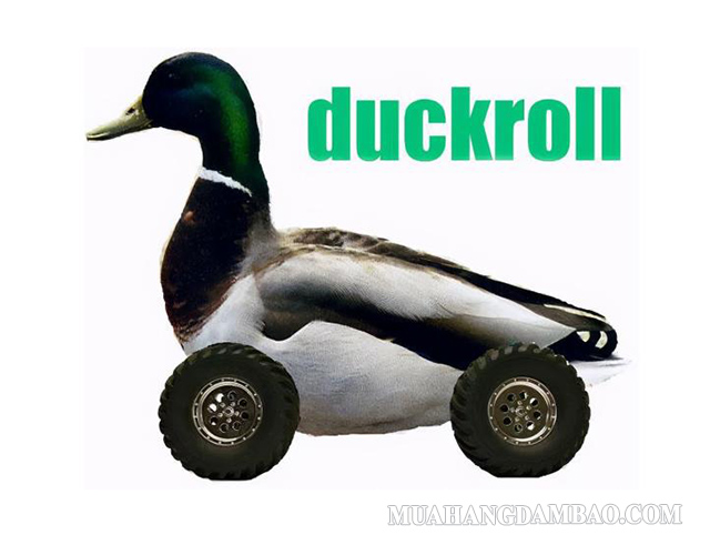 Trò chơi Duckrolling