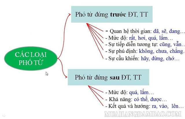 Các loại phó từ chính trong tiếng Việt