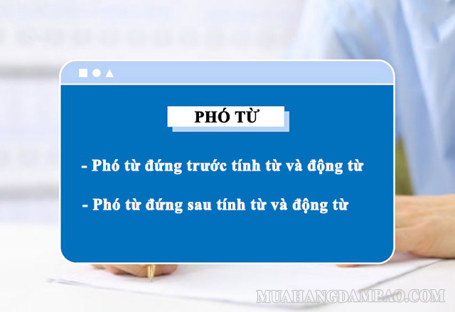 Cách sử dụng phó từ