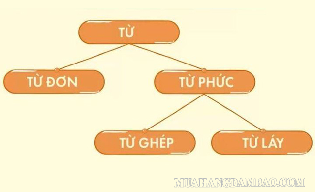 Từ phức gồm từ ghép và từ láy