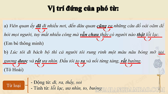 Phó từ đứng trước hoặc sau từ bổ nghĩa