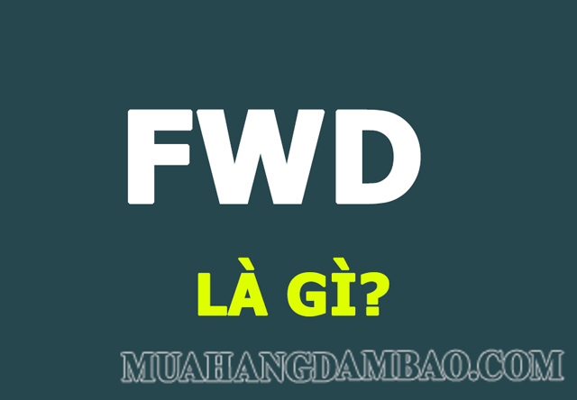 FWD là từ viết tắt khá thông dụng trong tiếng Anh