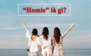 Homie - người bạn thân thiết