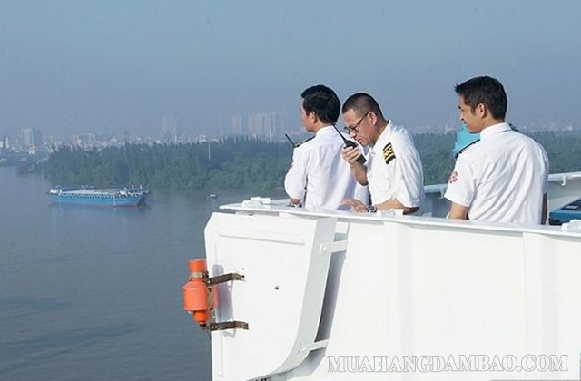 Hoa tiêu hàng hải có nhiệm vụ dẫn tàu