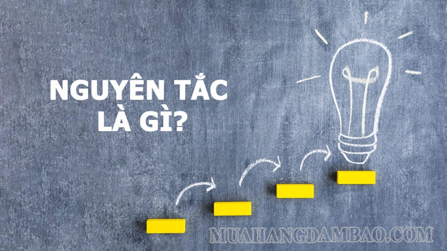 Nguyên tắc là những điều luật do chính con người tạo ra