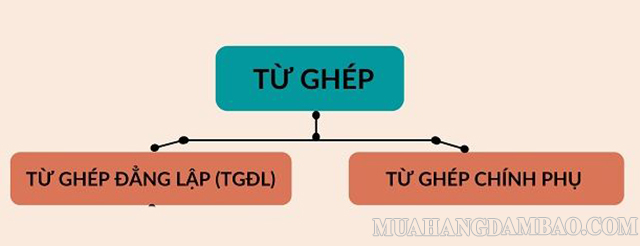 Phân loại từ ghép