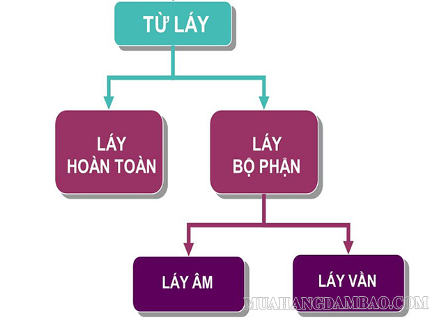 Phân loại từ láy