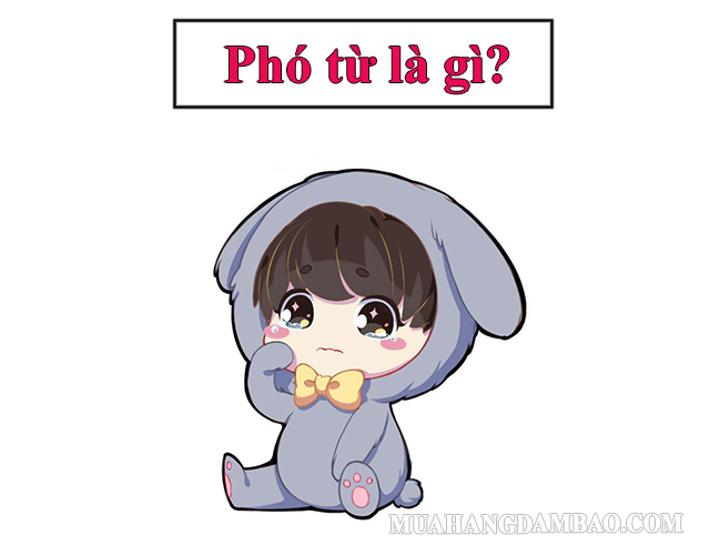 Phó từ - từ đi cùng với động từ, tính từ và trạng từ