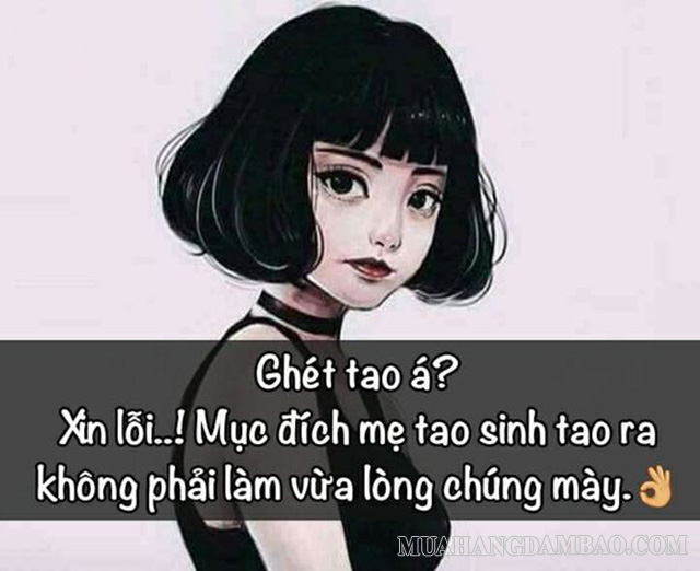 Câu chửi có văn hóa trên Facebook