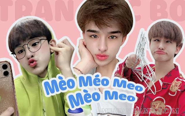 Trần Đức Bo mèo méo meo mèo meo