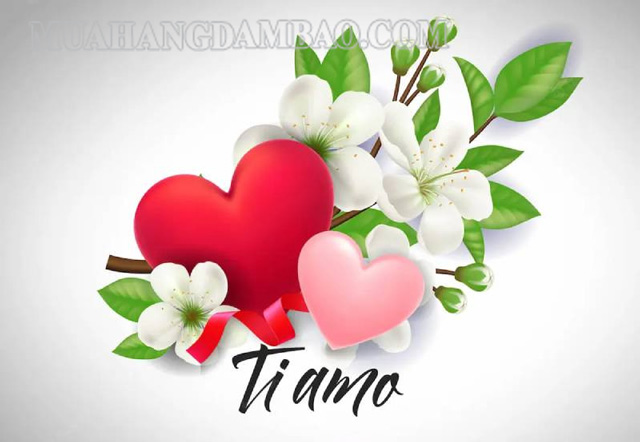 Tiamo được dùng với nghĩa tương tự như anh yêu em trong tiếng Việt
