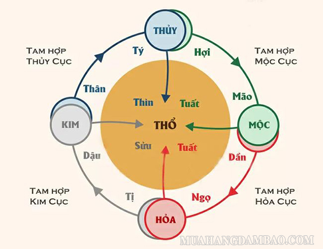 Cách tính tam hợp cho các tuổi