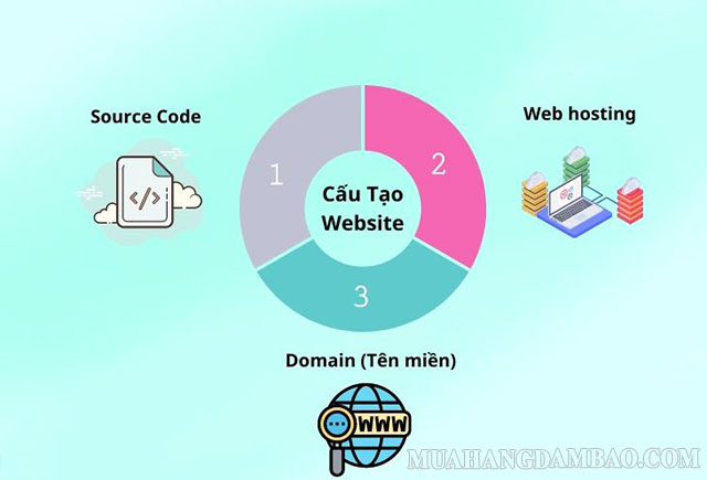 Cấu tạo của website