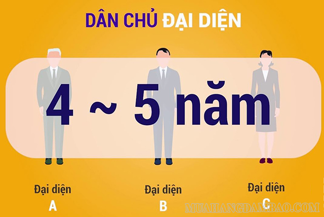 Dân chủ đại diện