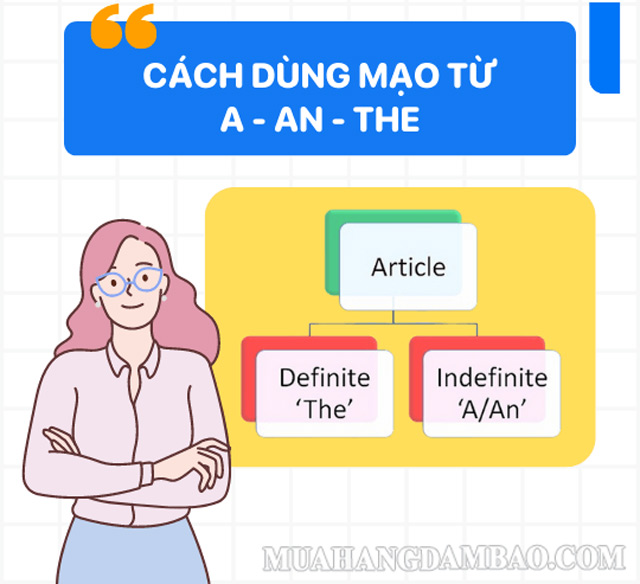 Các mạo từ như a, an, the có thể đứng trước một danh từ