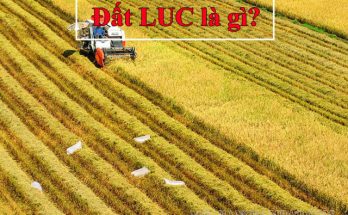 Đất LUC - đất nông nghiệp