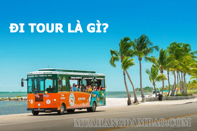 Đi tour là một hình thức du lịch phổ biến hiện nay