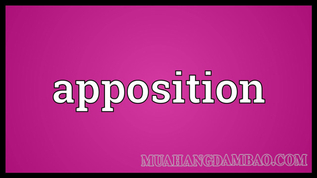 Apposition là tên tiếng Anh của ngữ đồng vị