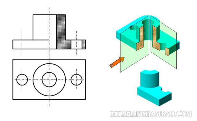 Hình cắt một nửa