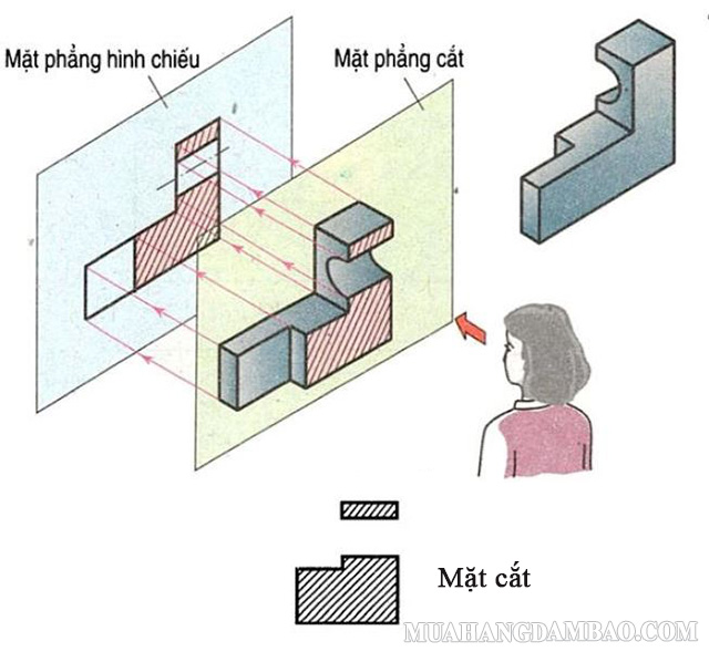 Hình ảnh minh họa mặt cắt