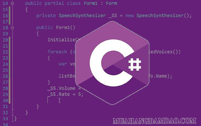 Ngôn ngữ lập trình C#