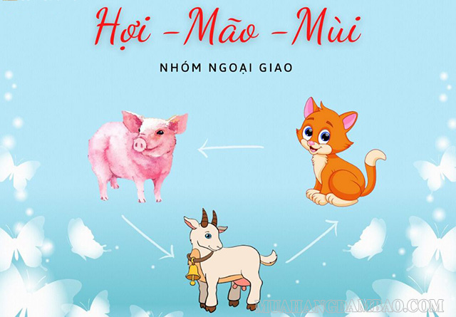 Nhóm tam hợp Hợi - Mão - Mùi