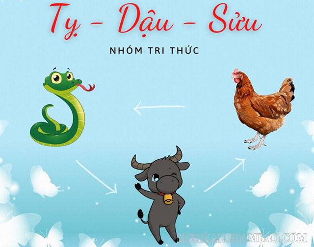 Nhóm tam hợp Tỵ - Dậu - Sửu