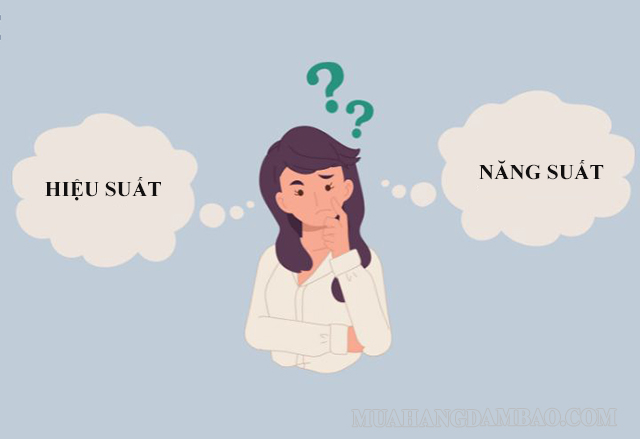 Phân biệt hiệu suất và năng suất