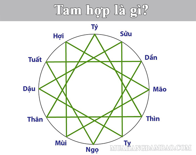 Tam hợp - bộ ba hòa hợp 