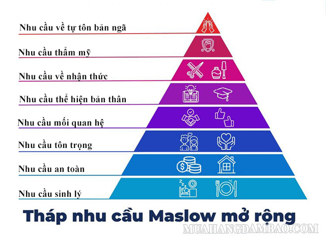 Tháp nhu cầu Maslow 8 tầng